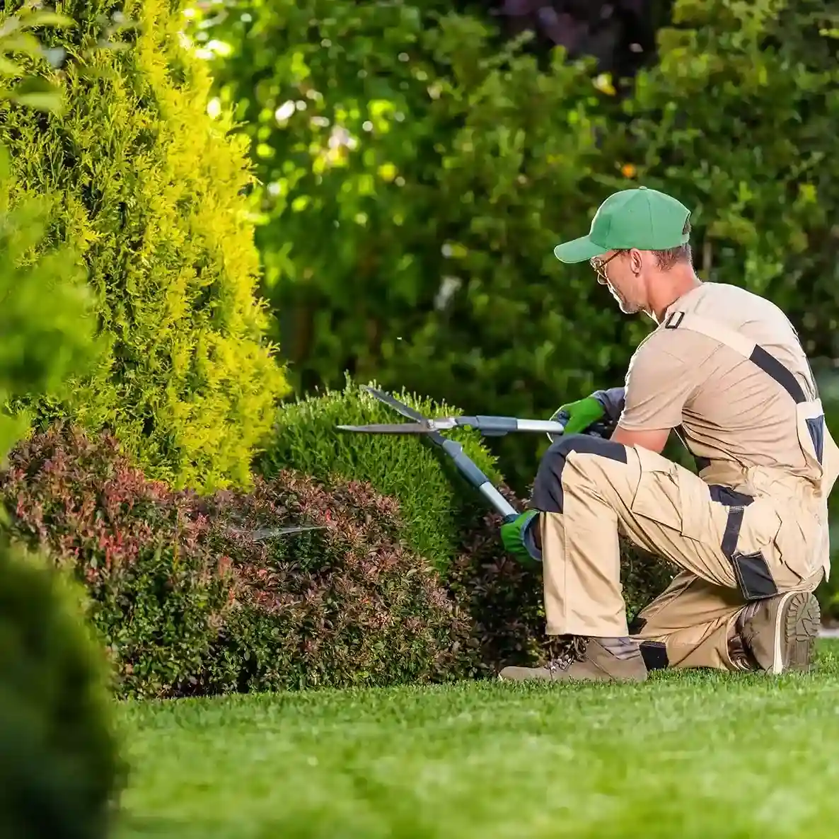 Lawn Care